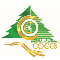 Cogeb